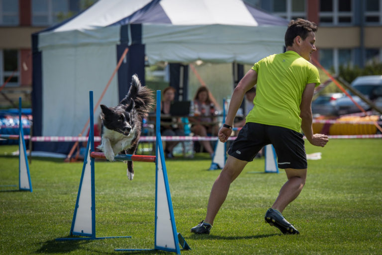 Mezinárodní mistrovství ČR border collií v agility 2017