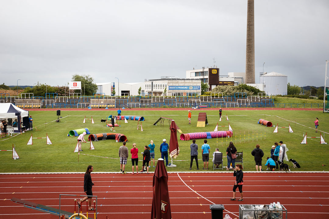 Mezinárodní mistrovství ČR border collií v agility 2017