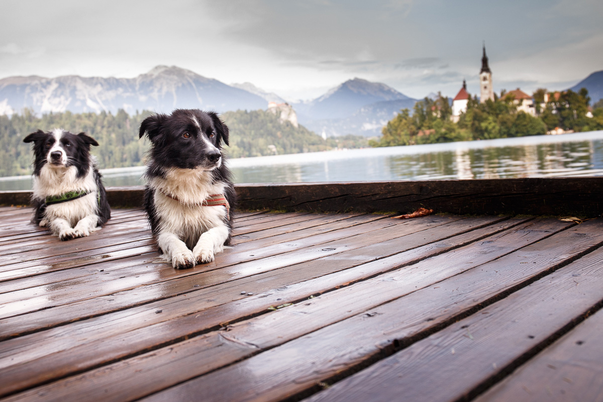 Slovinsko - Bled