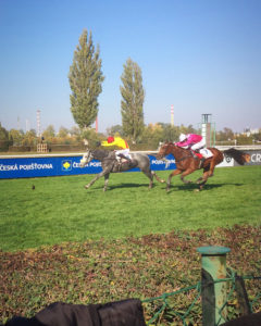Velká pardubická 2018