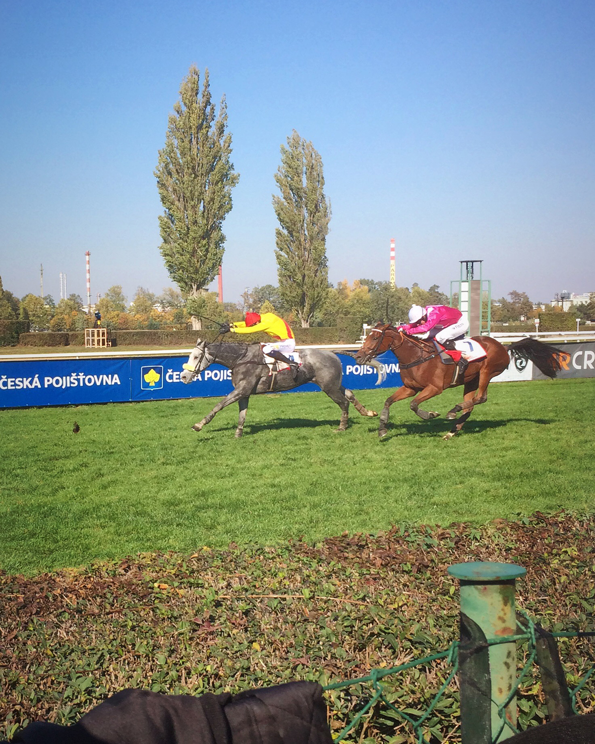 Velká pardubická 2018