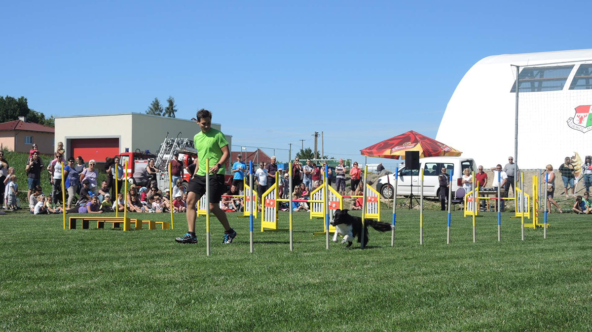 Agility ukázka v Rakové