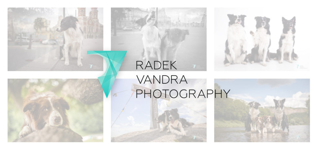 Radek Vandra Photography - Focení psů