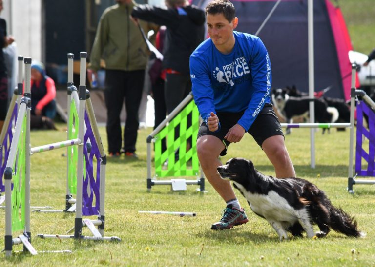 19. Mistrovství ČR border kolií v agility - Tošovice