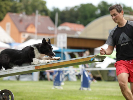 Kvalifikovali jsme se na mistrovství ČR v agility!