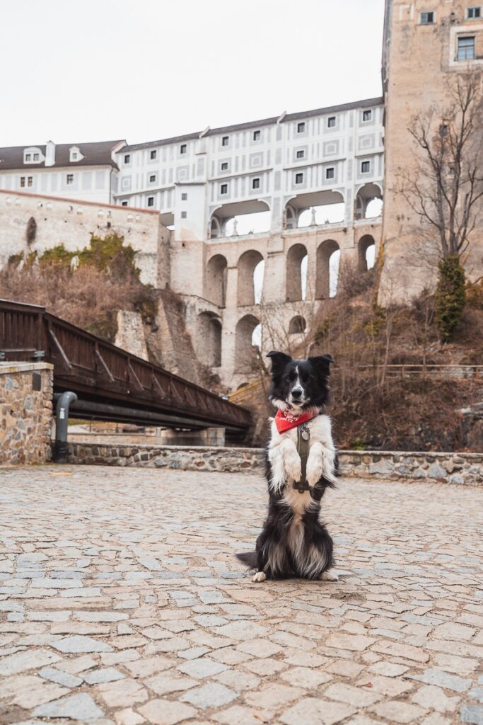 Co dělat v Českém Krumlově 2025 – Přes 30 Tipů na výlet, ubytování, restaurace 9 Český Krumlov