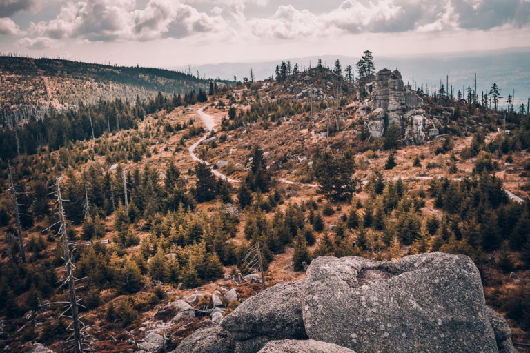 Šumava - hřebenovka Plechý Třístoličník - Greenmind.cz - cestování se psem