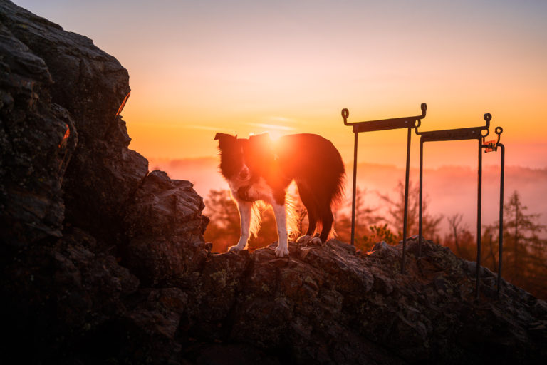 Východ Slunce na Vraní skále | Greenmind.cz - Cestování se psem