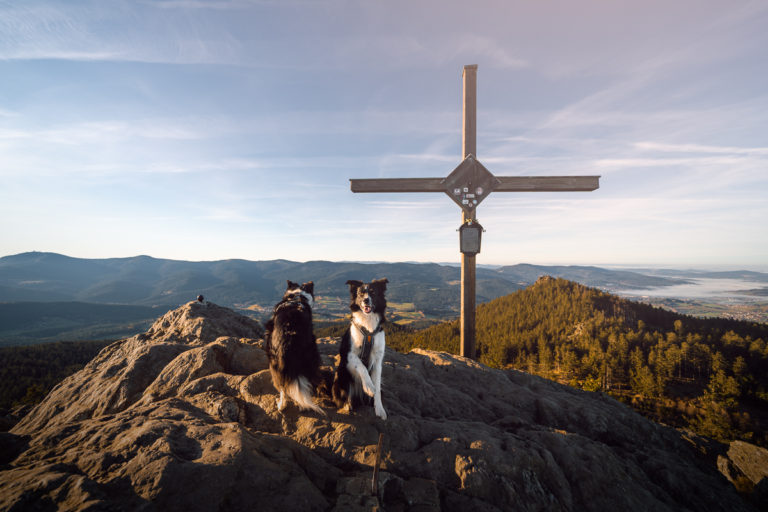Šumava - Velký Ostrý - Greenmind.cz | Cestování se psem