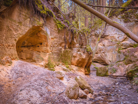 Pivnická rokle aneb český Grand Canyon