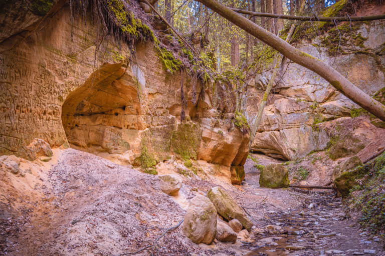 Pivnická rokle aneb český Grand Canyon - Greenmind.cz - Cestování se psem