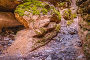 Pivnická rokle aneb český Grand Canyon - Greenmind.cz - Cestování se psem