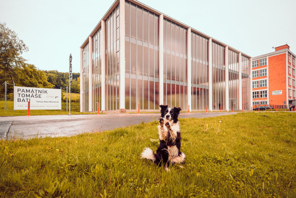 Baťův Zlín - Výlet se psem - Místa, která nesmíte minout - Greenmind.cz - Cestování se psem