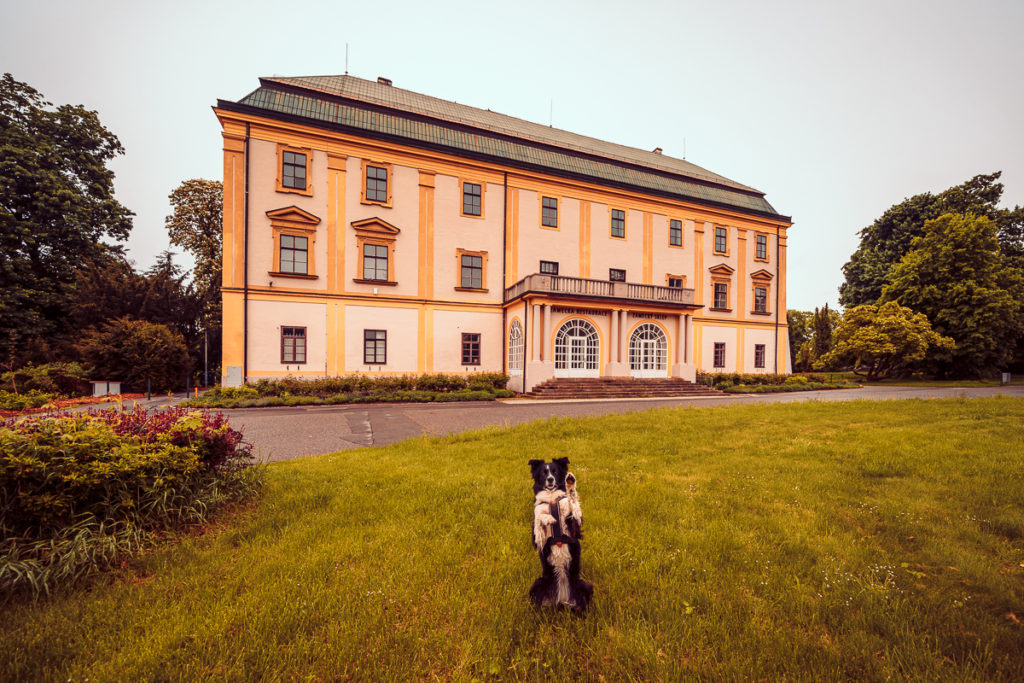 Baťův Zlín - Výlet se psem - Místa, která nesmíte minout - Greenmind.cz - Cestování se psem