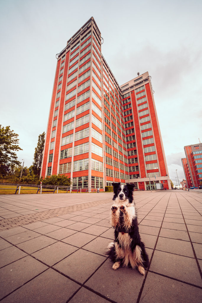 Baťův Zlín - Výlet se psem - Místa, která nesmíte minout - Greenmind.cz - Cestování se psem