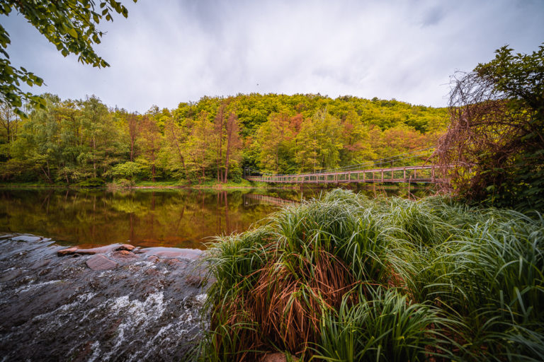 Nejmenší a nejmladší národní park v České republice - Národní park Podyjí - Greenmind.cz - Cestování se psem