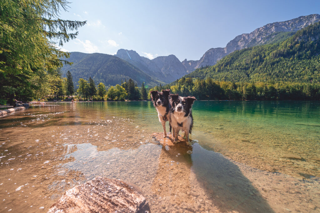Rakousko se psem - Jezera Vorderer Langbathsee a Hinterer Langbathsee - Výlet - Rakousko se psem - Solná Komora - Greenmind.cz - Cestování se psem