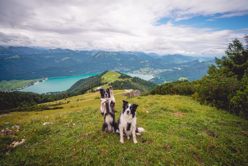 Rakousko se psem - Ovčí hora - Schafberg - Nejstrmější zubačka v Rakousku - Vlak - Wolfgangsee - Attersee - Mondsee - Výlet - Rakousko se psem - Solná Komora - Greenmind.cz - Cestování se psem
