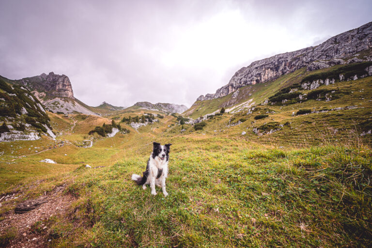 Vrchol Rofanspitze - Tyrolsko - Rakousko se psem - Výlet - Greenmind.cz - Cestování se psem