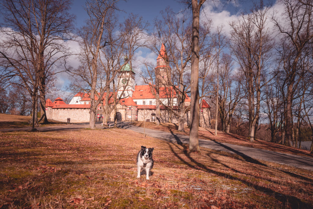 Romantický hrad Bouzov - Výlet se psem - Greenmind.cz - Cestování se psem