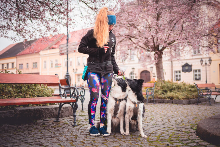 Nebuďte jen automatem na pamlsky - Tipy a triky - Práce se psem - Výcvik a výchova psa - Motivace - Greenmind.cz - Cestování se psem