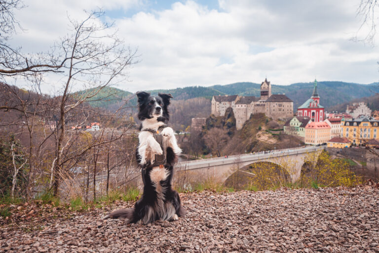 Výlet na hrad Loket a vyhlídky v okolí - Karlovarský kraj - Greenmind.cz - Cestování se psem
