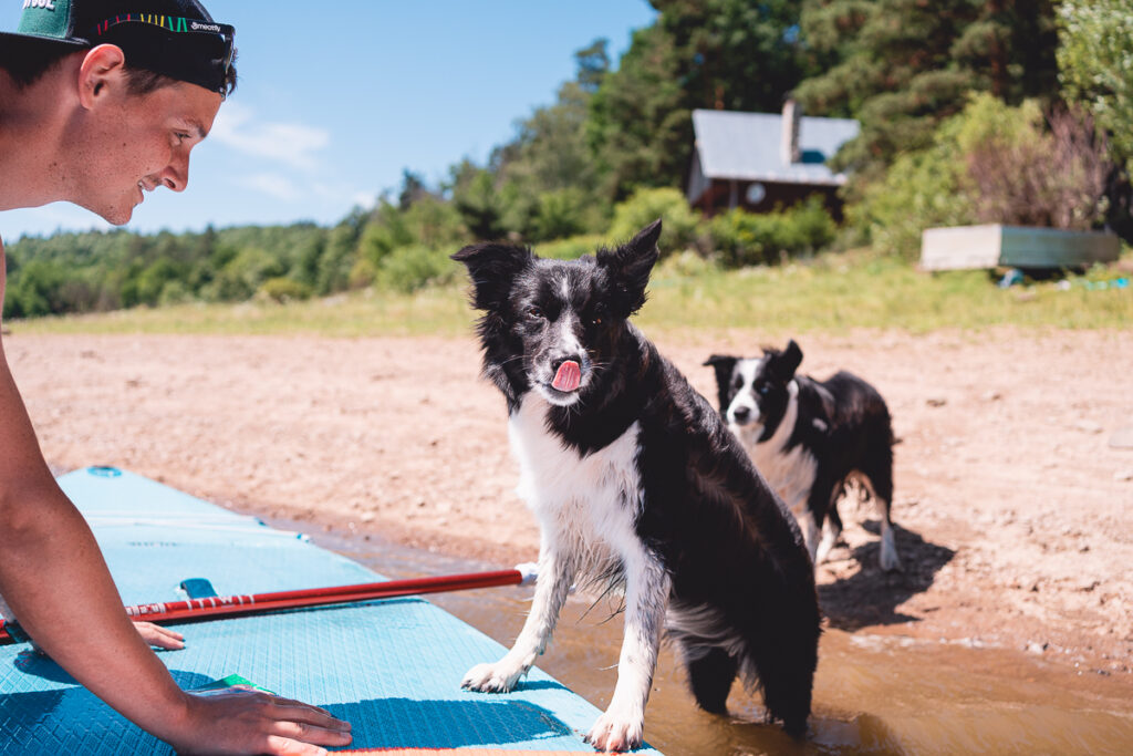 Se psem na paddleboardu - Greenmind.cz - Cestování se psem