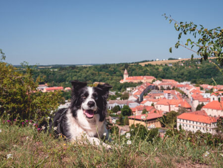 Moravský Krumlov