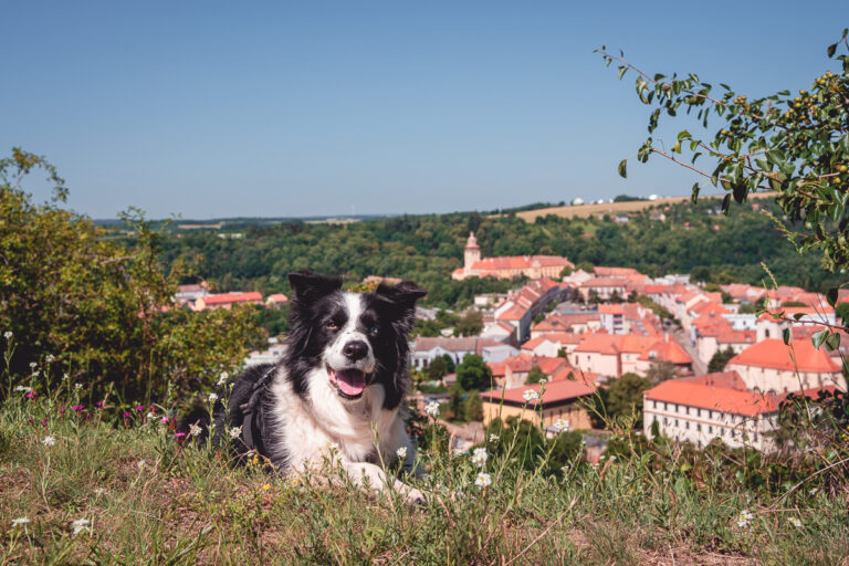 Moravský Krumlov - Výlet - Greenmind.cz - Cestování se psem