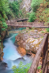 Nejznámější slovinská soutěska Vintgar - Triglavský národní park - Bled - Greenmind.cz - Cestování se psem