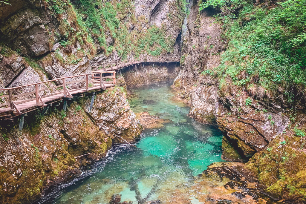 Nejznámější slovinská soutěska Vintgar - Triglavský národní park - Bled - Greenmind.cz - Cestování se psem