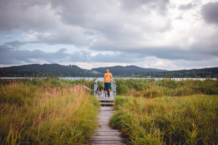 Naučná stezka Olšina - Šumava - Výlet - Greenmind.cz - Cestování se psem
