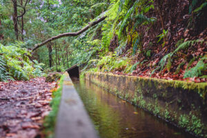 Madeira - Portugalsko - 25 Fontes a nejkrásnější levády na ostrově - Výlet - Greenmind.cz - Cestování se psem