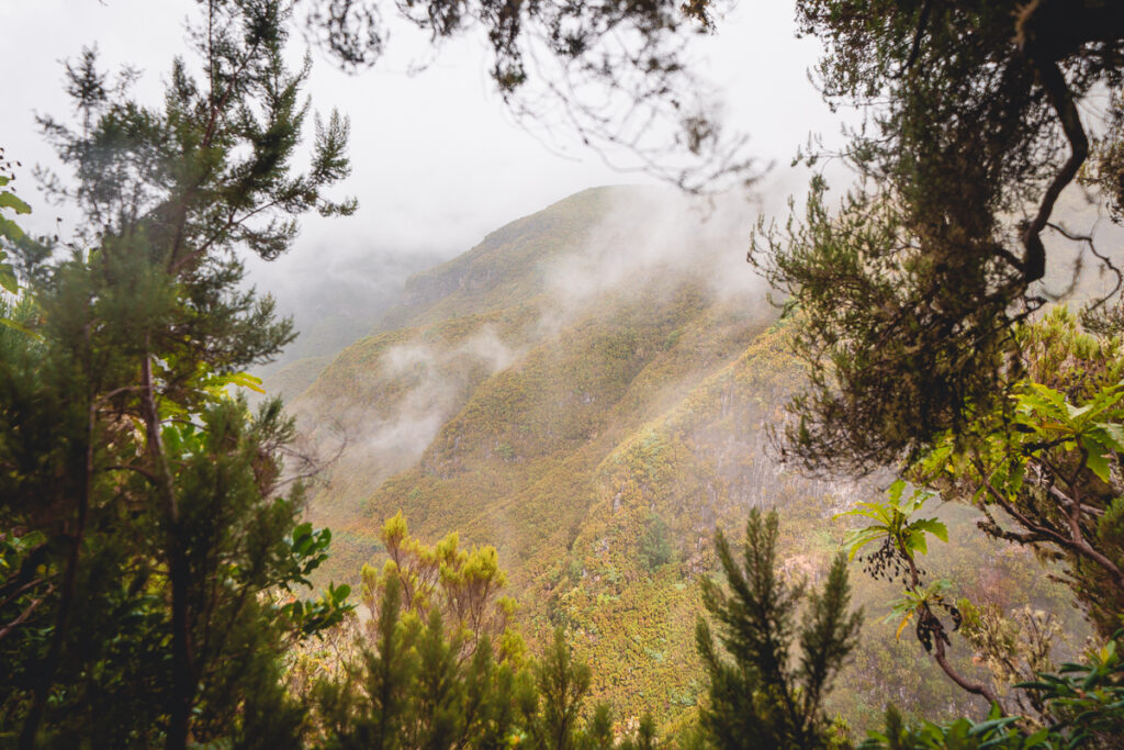 Madeira - Portugalsko - 25 Fontes a nejkrásnější levády na ostrově - Výlet - Greenmind.cz - Cestování se psem