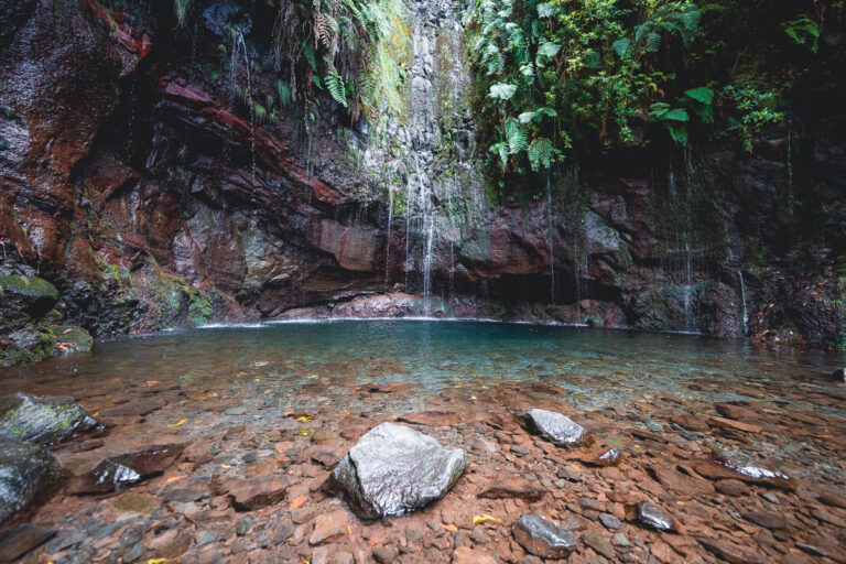 Madeira - Portugalsko - 25 Fontes a nejkrásnější levády na ostrově - Výlet - Greenmind.cz - Cestování se psem