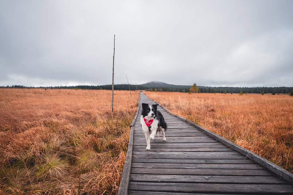 O nás 19 psotoulky.cz